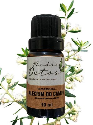 Óleo Essencial Alecrim do Campo Orgânico 10ml