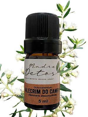Óleo Essencial Alecrim do Campo Orgânico 5ml
