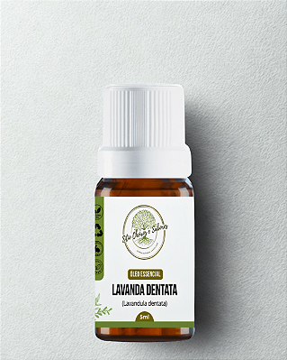 Óleo Essencial Lavanda Dentata Orgânico 5ml
