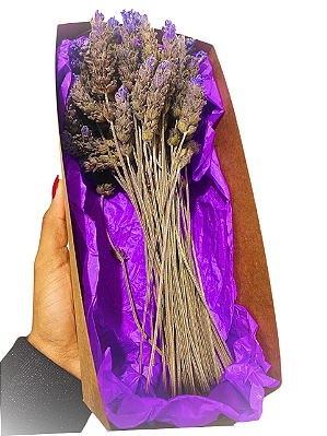 Buquê de Lavanda Dentata Desidratada 35 unidades