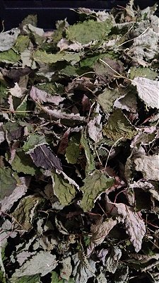 Melissa Desidratada (melissa officinalis) 20 gramas somente folhas