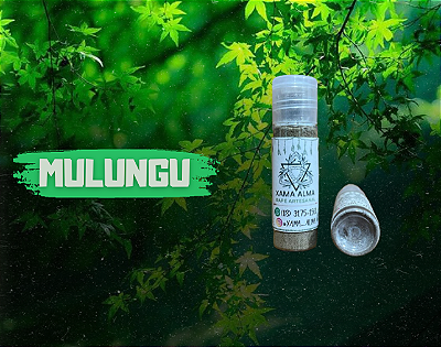 Mulungu 10g