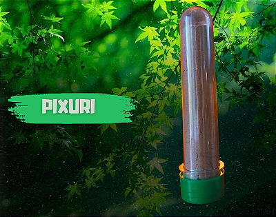 Pixuri 20g