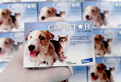 CAPSTAR 11,4MG (1X6)