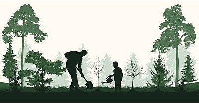 🦥🌴REFLORESTAMENTO 🌳🌲