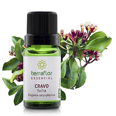 Óleo essencial Terra Flor - Cravo folha 10ml