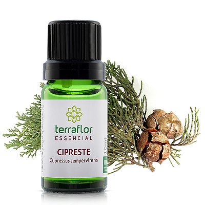 Óleo essencial Terra Flor - Cipreste 10ml