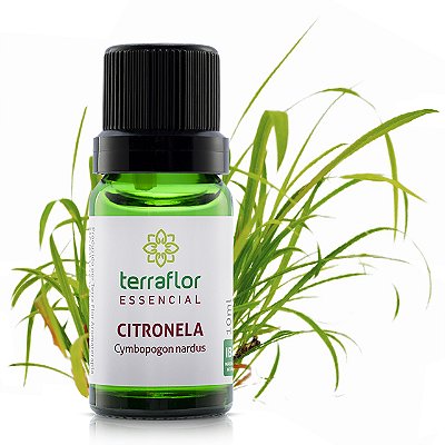 Óleo essencial Terra Flor - Citronela 10ml
