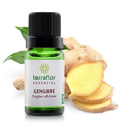 Óleo essencial Terra Flor - Gengibre 10ml