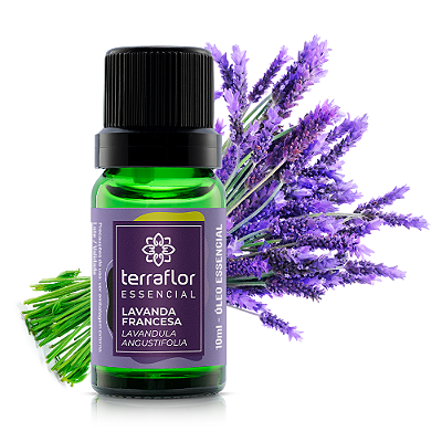 Óleo essencial Terra Flor - Lavanda Francesa 10ml