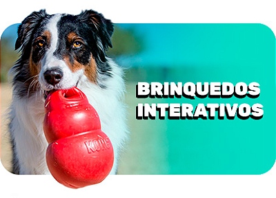 Brinquedos