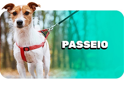 passeio