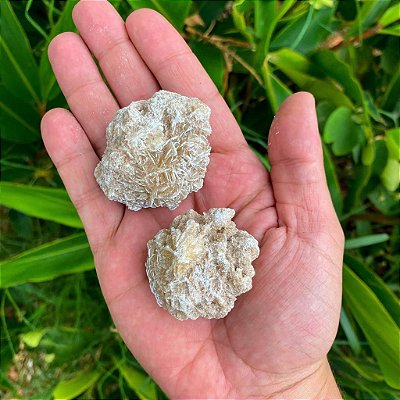 Rosa do deserto G - Clareza, intuição e calma