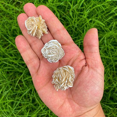 Rosa do deserto M - Clareza, intuição e calma