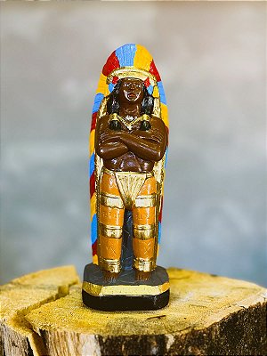 Imagem Cacique Tupi - Gesso