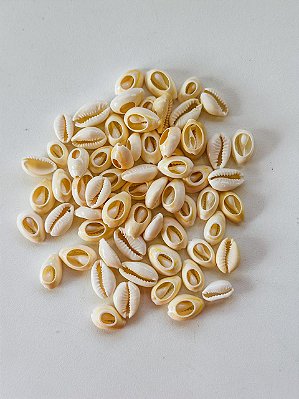 Búzio branco pequeno aberto un