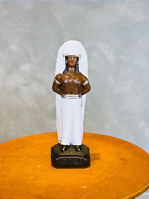 Imagem Cacique Pena Branca - Gesso
