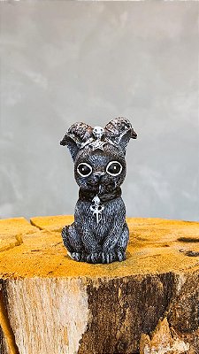 Imagem gatinho oraculo mágico com chifre