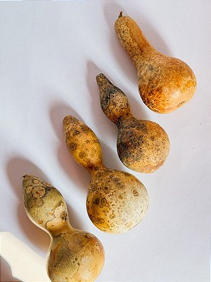 Cabaça Pequena