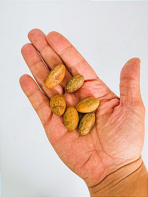 Orobô