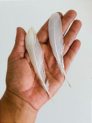 Pena Leke Leke Africana Fundamento Candomblé