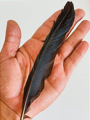 Pena de Agbe - Umbanda Candomblé Ifa