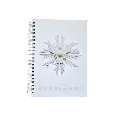 Caderno Universitário 10 matérias Espirito Santo 200 Folhas