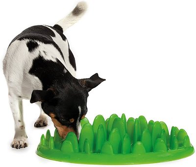 Comedouro Lento Interativo da Company of Animals