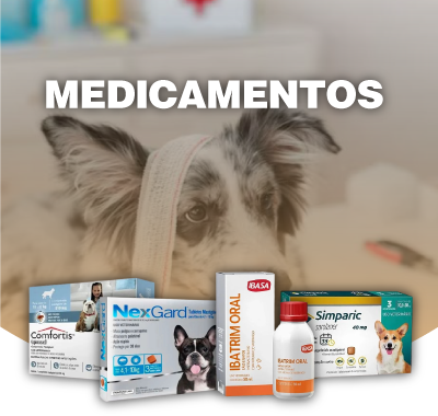 Mini 02 - Medicamentos