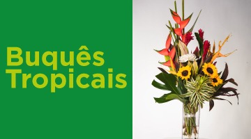 Buques Tropicais