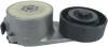 TENSOR DA CORREIA ALTERNADOR PALIO, SIENA, BRAVA, STRADA, DOBLO, MAREA 1.6 16V 01/...
