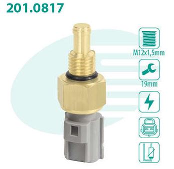 Sensor Temperatura Escort Zetec