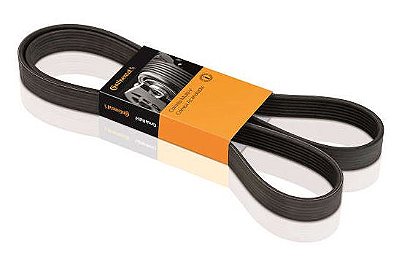 CORREIA MULTI V ACD ELASTICA FOX GOL 07/... (ELASTICA)