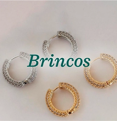 Brincos v2