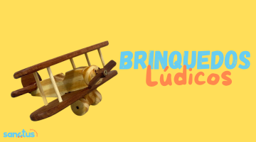 Brinquedos Ludicos