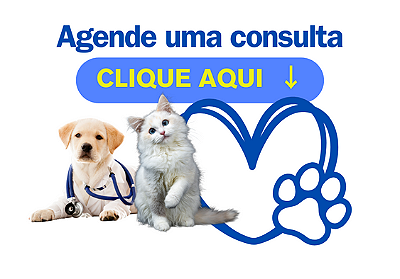 oitavo