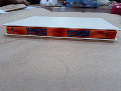 Caderno Sanfona