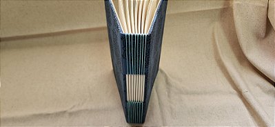 Caderno Indiano