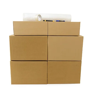 Kit Mudança de Apartamento com 15 Caixas e Utensílios