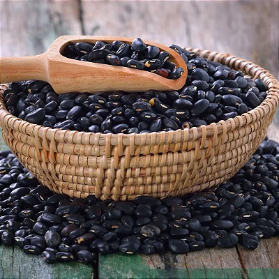 FEIJÃO PRETO ORGÂNICO (KG)