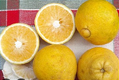 Laranja Champanhe (1kg)