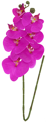 ORQUIDEA SILICONE TOQUE REAL 75CM FÚCSIA 128671