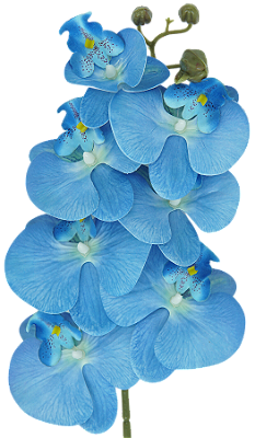 ORQUIDEA SILICONE TOQUE REAL 75CM X7 AZUL 128673