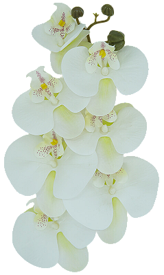 ORQUIDEA ARTIFICIAL SILICONE TOQUE REAL BRANCA AMARELA X7 75CM 128645