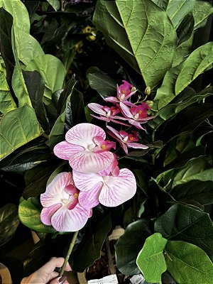 ORQUIDEA ARTIFICIAL SILICONE TOQUE REAL ROSA PRINT X7 75CM 128824