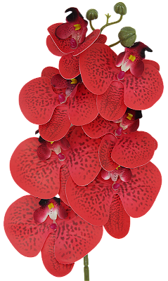 ORQUIDEA ARTIFICIAL SILICONE TOQUE REAL VERMELHO X7 75CM 128828