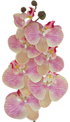 ORQUIDEA ARTIFICIAL SILICONE TOQUE REAL ROSA CLARO X7 75CM 128830