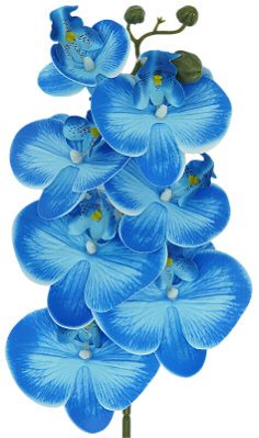 ORQUIDEA ARTIFICIAL SILICONE TOQUE REAL AZUL CELESTE X7 75CM 128831