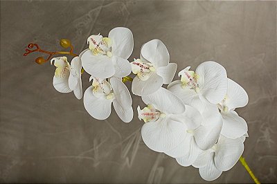 ORQUIDEA SILICONE TOQUE REAL X9 110CM BRANCA 12941