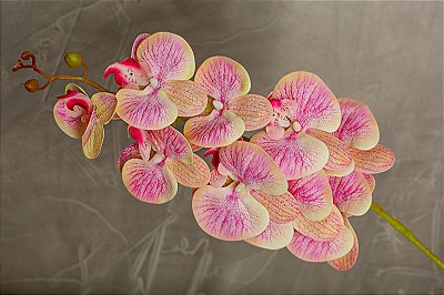 ORQUIDEA SILICONE TOQUE REAL ROSA CLARO X9 110CM 12941RC